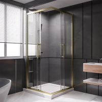 Душевой угол раздвижной 800Х800x2000 цвет профиля Золото брашированное стекло прозрачное  PTC20-G-8080-01-C4 Premium Veconi