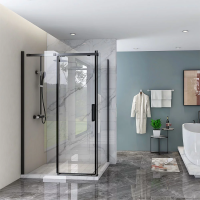 Душевой угол раздвижной прямоугольный RV070B-12090-01-C4 1200х900х1950 Цвет профиля Чёрный Стекло Прозрачное Veconi